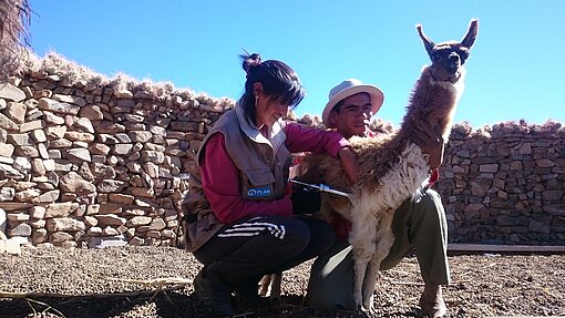 Veterinärkits für Bolivien Veterinärkits für Bolivien