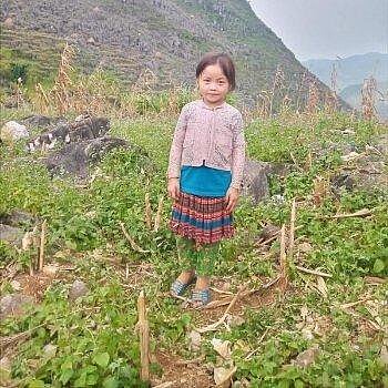 Giang Thi, Vietnam Giang Thi