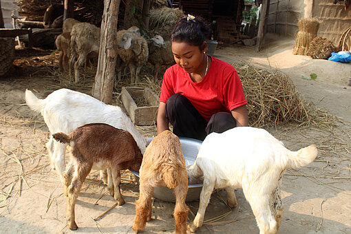 Junge Frau beugt sich zu einer Schale runter und füttert ihre Ziegen