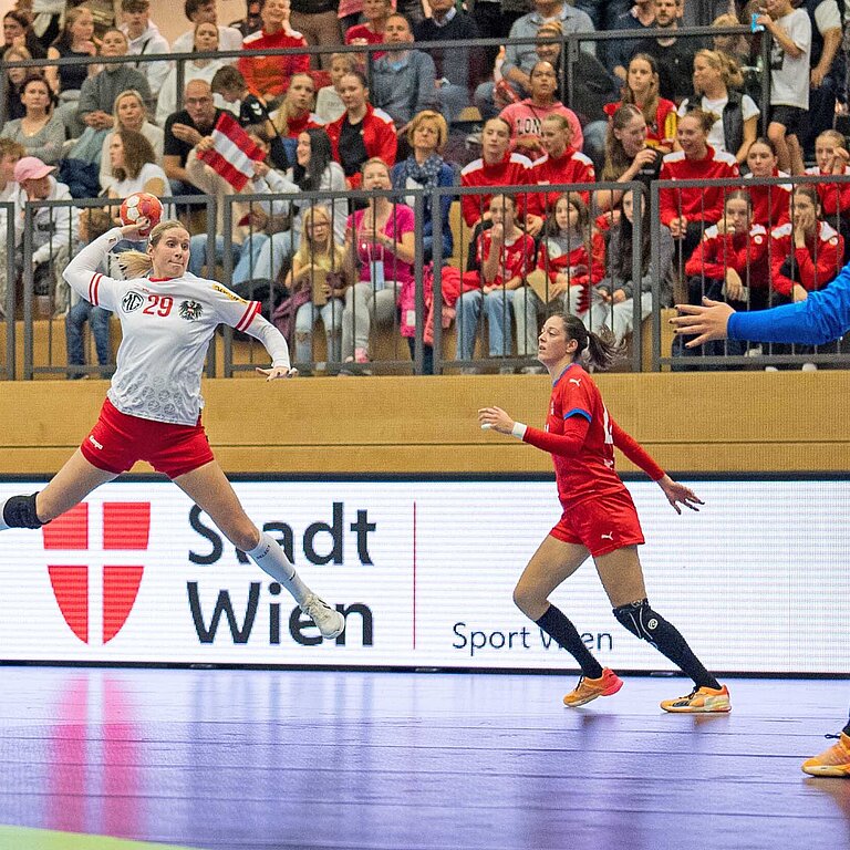 Handball-Profis beim Sport in Wien