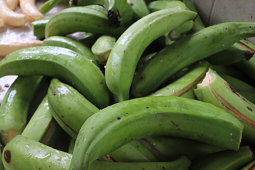 Ein Haufen grüner Bananen