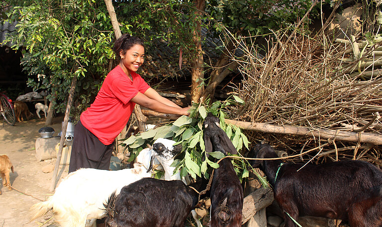 Junge Frau steht neben ein paar Ziegen und füttert sie mit Grünzeug