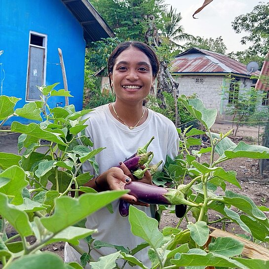 Anita erntet Auberginen in ihrem Gemüsegarten 